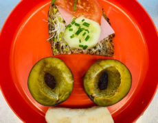 Sanus_manducans_04522040-D6EB-4660-A3F2-1BC54ACE7AFC